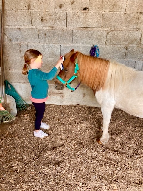 Enfant brossant avec soin un poney au club de Bully.