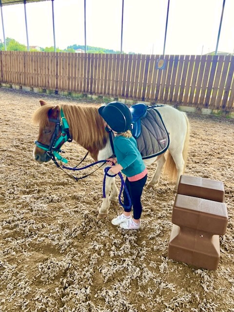 Préparation pour une balade : un enfant à côté de son poney sellé.